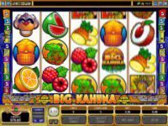 Play Big Kahuna Slots now!